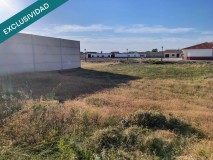 Foto14