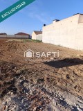 Foto3