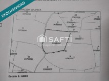 Foto1