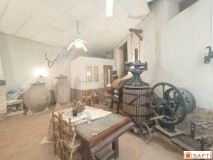 Foto41