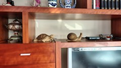 Foto50