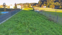 Foto5