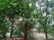 Foto31