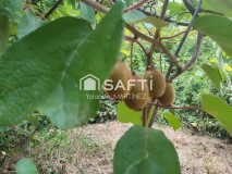Foto4