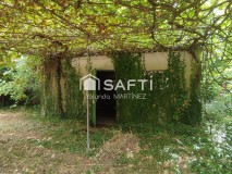 Foto3