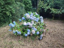 Foto18