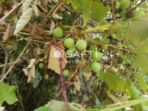 Foto15
