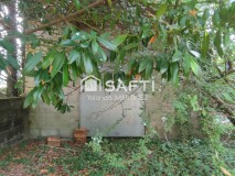 Foto9