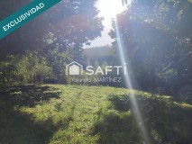 Foto16