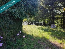 Foto5