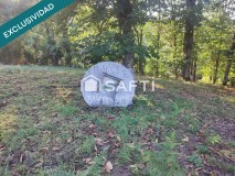 Foto11