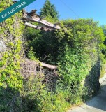 Foto14