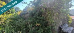 Foto11