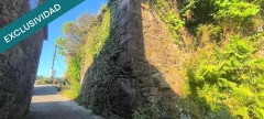 Foto16