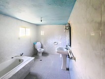 Foto8