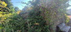 Foto11