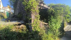 Foto15