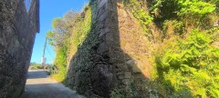 Foto16