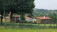 Foto23