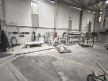 Foto19