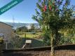 Foto44