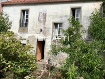 Foto41