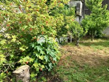 Foto45