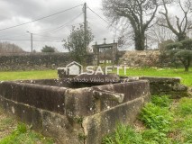 Foto31