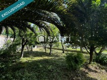 Foto34