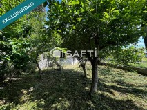 Foto37