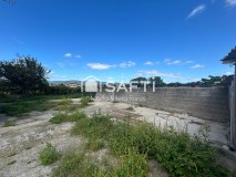 Foto38
