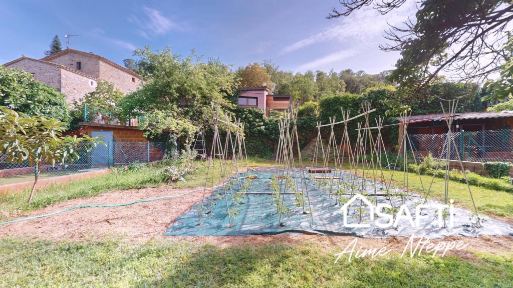 EXCLUSIVA MASÍA - NATURA - BOSQUE - PURA VIDA - CAMPO - foto 39