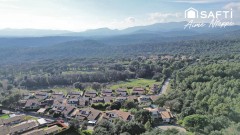 Foto49