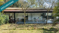 Foto15