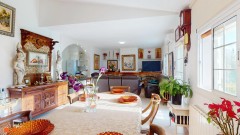 Foto8