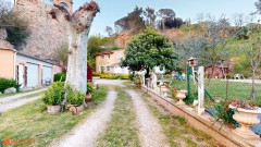 Foto47