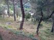 Foto5