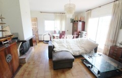 Foto8