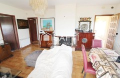 Foto9