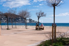 Foto11