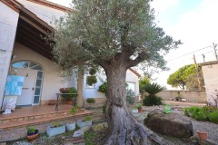 Foto14