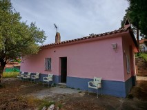 Foto28