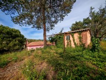 Foto43