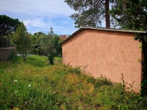 Foto41