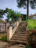Foto31