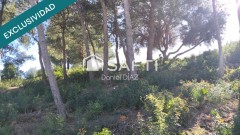 Foto1