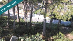 Foto17
