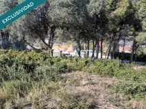 Foto9