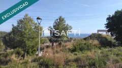 Foto14