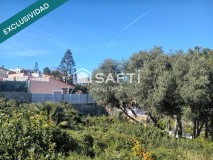 Foto12